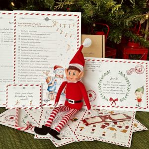 MAGIŠKO ELFO RINKINYS SU ELFU (1 vaikui)